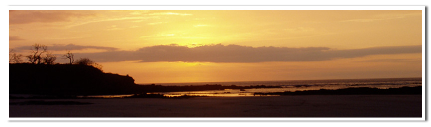 Sunset_cropped2